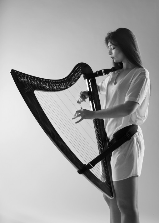 vox-harp 9
