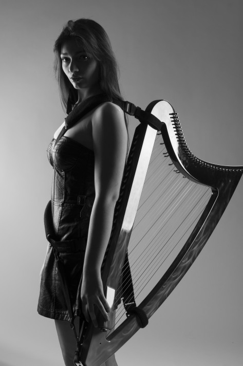 vox-harp 6