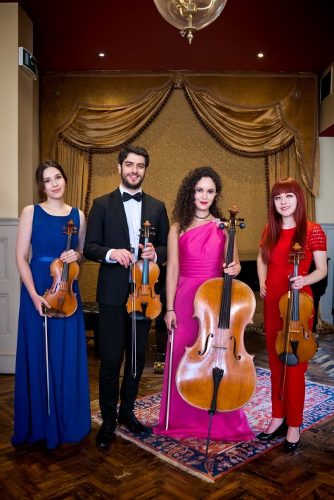 string-sensation 7