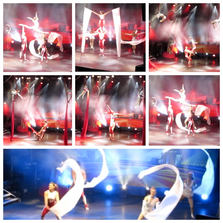 central-cirque-show 7