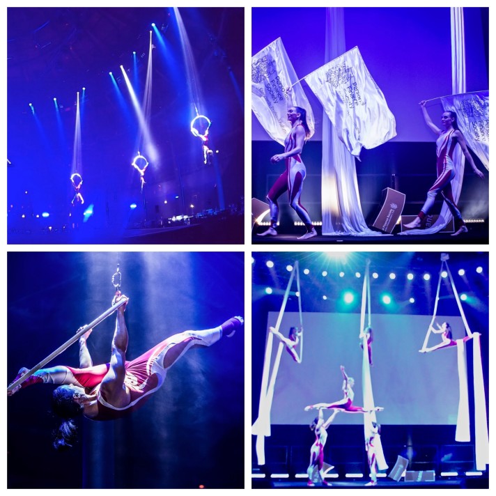 central-cirque-show 8