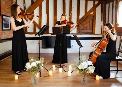 The Ruby String Trio Listing