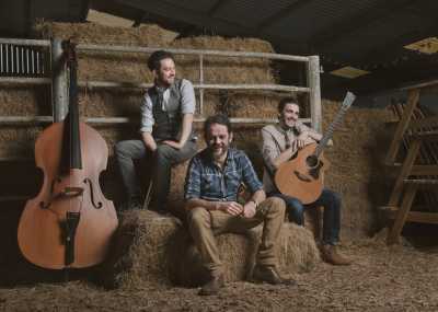 Willow Fleet Listing