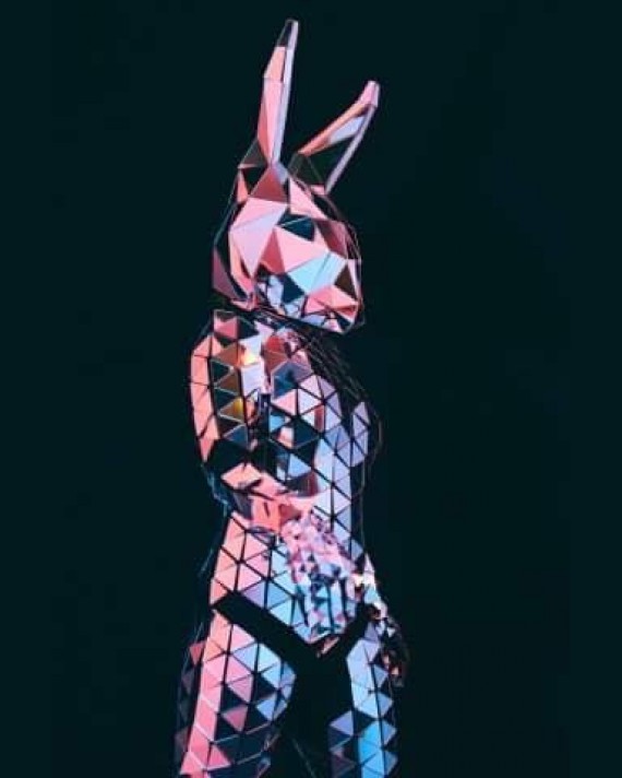 diamond-bunny-disco 6