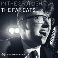 the-fat-cats-in-the-spotlight