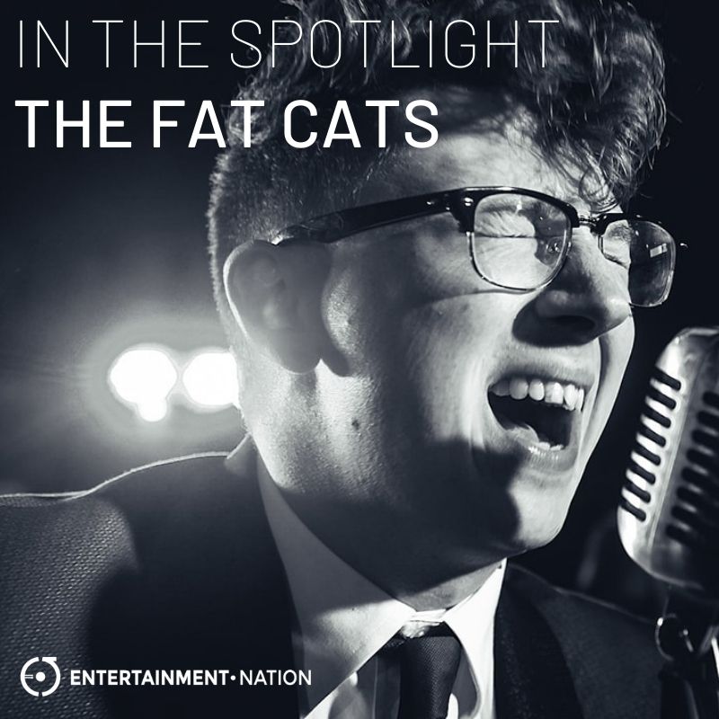 The Fat Cats In The Spotlight