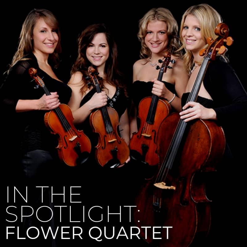 Flower Quartet In The Spotlight