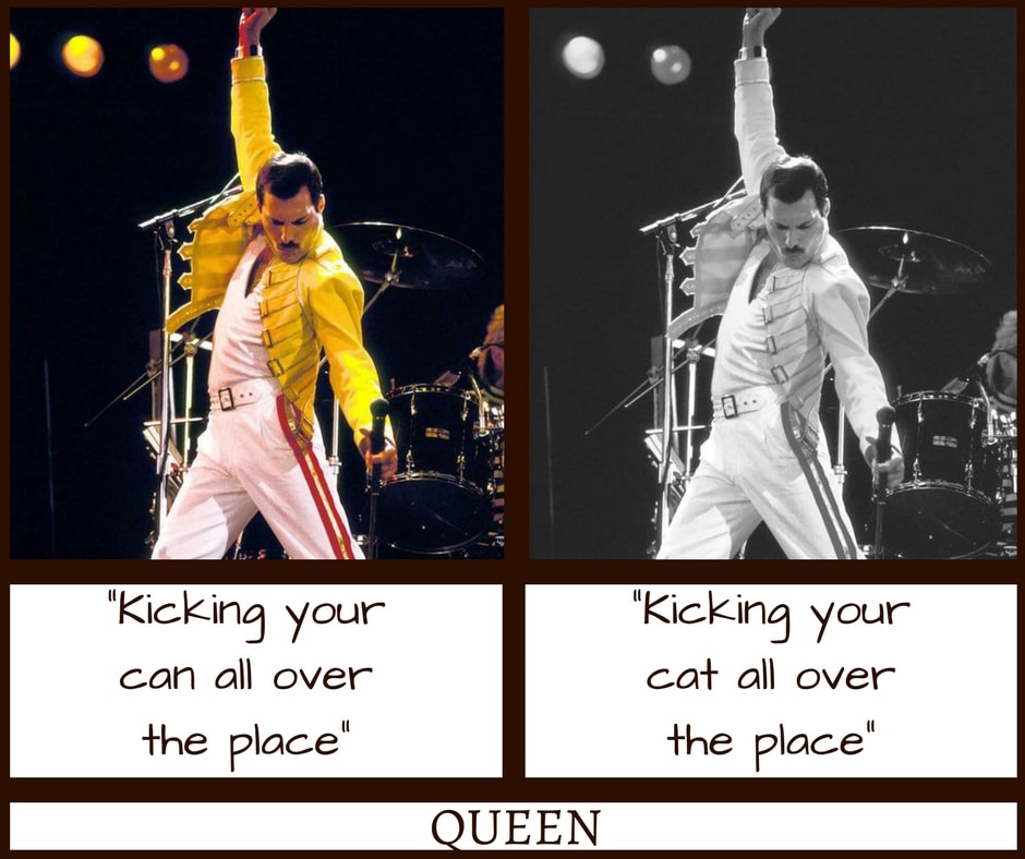 Queen We Will Rock You Misheard Lyrics