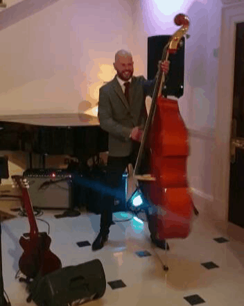 The Brogues Double Bass